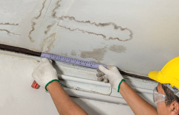 Reliable Water Damage Repair contractor in Papillion, NE by Hirex Water Damage